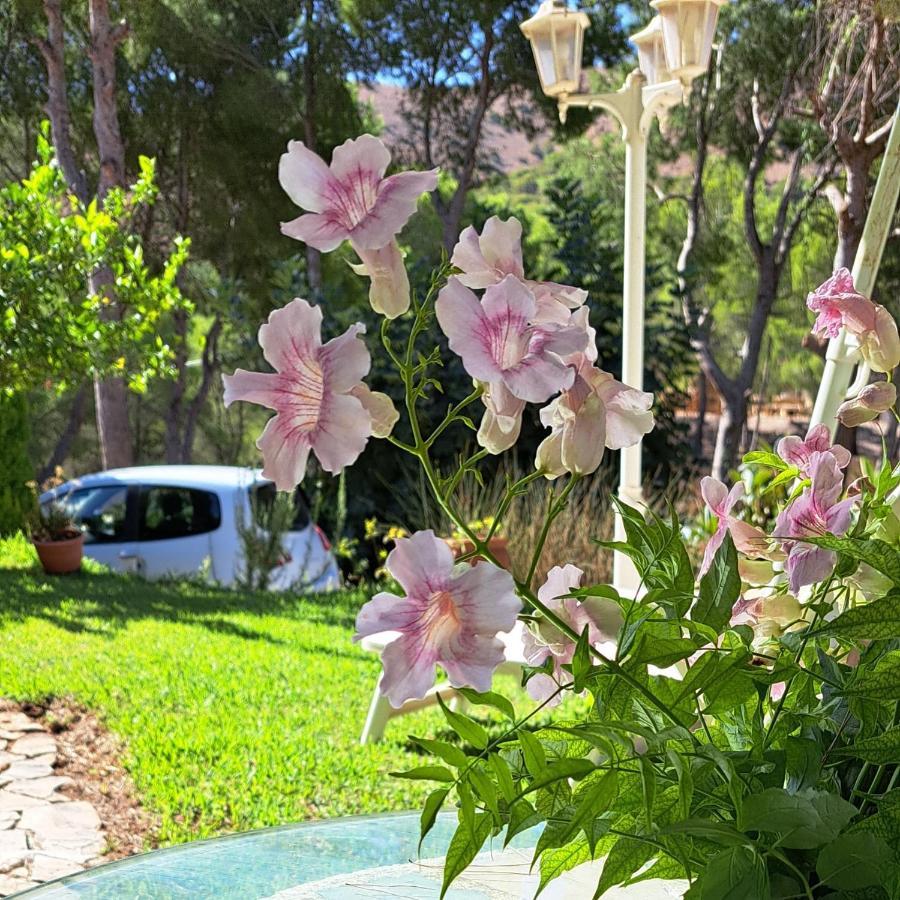 פינסטראט Casa Con Encanto מראה חיצוני תמונה